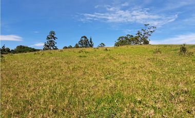 VENTA 7 HECTAREAS MESA DE LOS SANTOS MERCADO CAMPESINO COD:1109