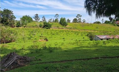 VENTA 7 HECTAREAS MESA DE LOS SANTOS MERCADO CAMPESINO COD:1109