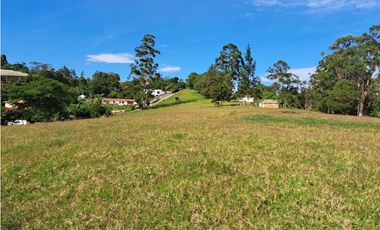 VENTA 7 HECTAREAS MESA DE LOS SANTOS MERCADO CAMPESINO COD:1109