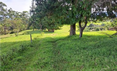 VENTA 7 HECTAREAS MESA DE LOS SANTOS MERCADO CAMPESINO COD:1109