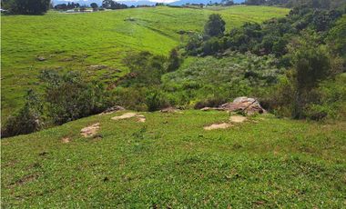 VENTA 7 HECTAREAS MESA DE LOS SANTOS MERCADO CAMPESINO COD:1109