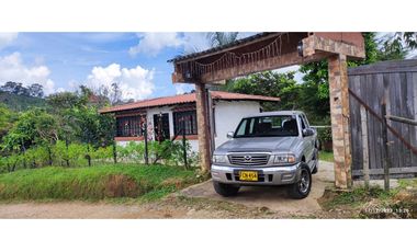 Venta de Finca en el municipio de San Roque- Vereda La Candelaria