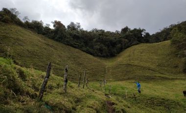 FINCA EN VENTA EN LA CEJA (VEREDA SAN GERARDO) A 10 MINUTOS DE LA ZONA URBANA VIA HACIA SAN JOSÉ.