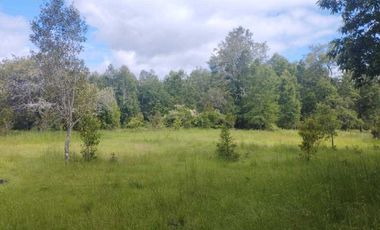 Parcela en venta en VILLARRICA