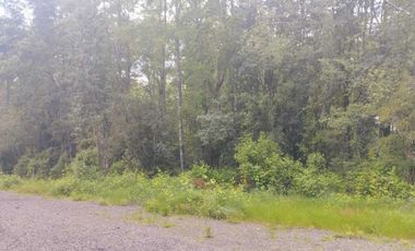 Parcela en venta en VILLARRICA