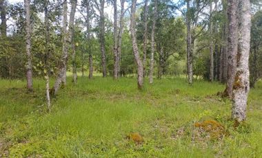 Parcela en venta en VILLARRICA