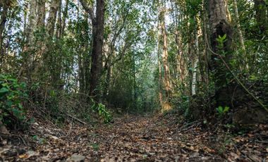 Parcela en venta en CUNCO
