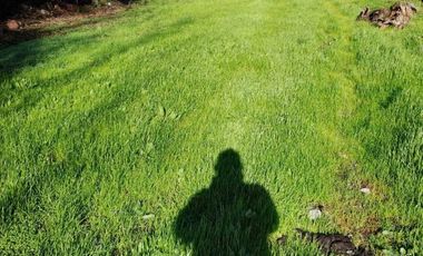 Parcela en venta en LINARES