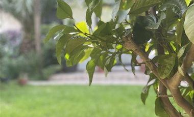 Casa en Arriendo en HERMOSA Y COMODA PROPIEDAD EN ARRIENDO DIARIO UBICADA EN MAITENCILLO 5 DORMITORIOS 4 BAÑOS