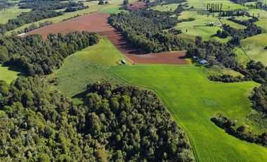Agrícola en Venta en 169 hectáreas, camino San Carlos km 3, a solo 10 min de Los Muermos