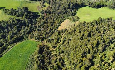 Agrícola en Venta en 169 hectáreas, camino San Carlos km 3, a solo 10 min de Los Muermos