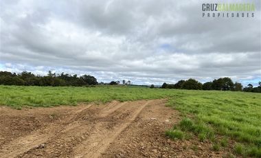 Agrícola en Venta en 169 hectáreas, camino San Carlos km 3, a solo 10 min de Los Muermos