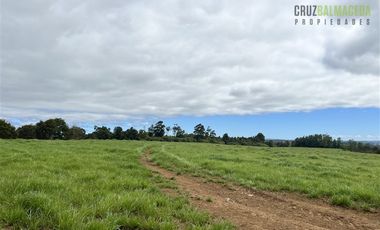 Agrícola en Venta en 169 hectáreas, camino San Carlos km 3, a solo 10 min de Los Muermos