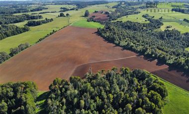 Agrícola en Venta en 169 hectáreas, camino San Carlos km 3, a solo 10 min de Los Muermos