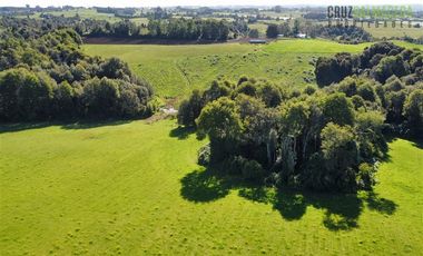 Agrícola en Venta en 169 hectáreas, camino San Carlos km 3, a solo 10 min de Los Muermos