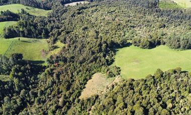 Agrícola en Venta en 169 hectáreas, camino San Carlos km 3, a solo 10 min de Los Muermos