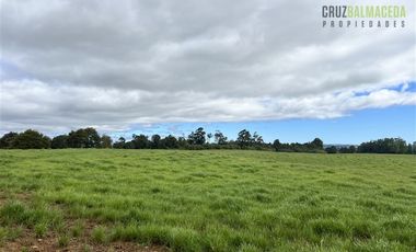 Agrícola en Venta en 169 hectáreas, camino San Carlos km 3, a solo 10 min de Los Muermos