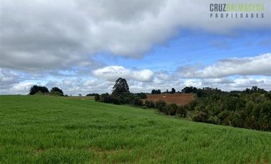 Agrícola en Venta en 169 hectáreas, camino San Carlos km 3, a solo 10 min de Los Muermos