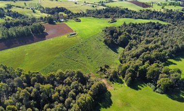 Agrícola en Venta en 169 hectáreas, camino San Carlos km 3, a solo 10 min de Los Muermos