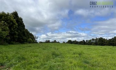 Agrícola en Venta en 169 hectáreas, camino San Carlos km 3, a solo 10 min de Los Muermos