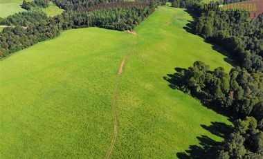 Agrícola en Venta en 169 hectáreas, camino San Carlos km 3, a solo 10 min de Los Muermos