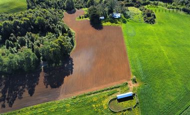 Agrícola en Venta en 169 hectáreas, camino San Carlos km 3, a solo 10 min de Los Muermos