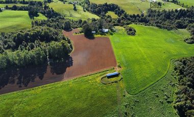 Agrícola en Venta en 169 hectáreas, camino San Carlos km 3, a solo 10 min de Los Muermos