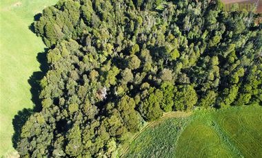 Agrícola en Venta en 169 hectáreas, camino San Carlos km 3, a solo 10 min de Los Muermos