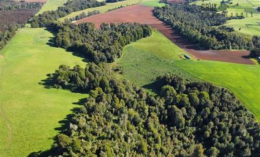 Agrícola en Venta en 169 hectáreas, camino San Carlos km 3, a solo 10 min de Los Muermos