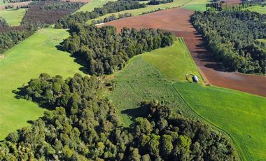 Agrícola en Venta en 169 hectáreas, camino San Carlos km 3, a solo 10 min de Los Muermos