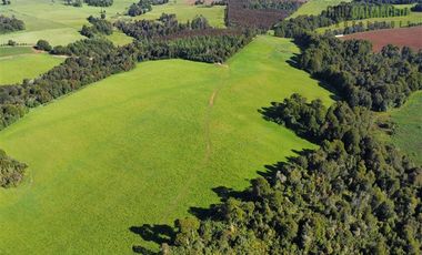 Agrícola en Venta en 169 hectáreas, camino San Carlos km 3, a solo 10 min de Los Muermos