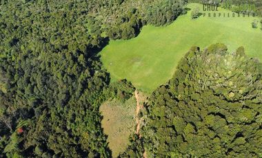 Agrícola en Venta en 169 hectáreas, camino San Carlos km 3, a solo 10 min de Los Muermos