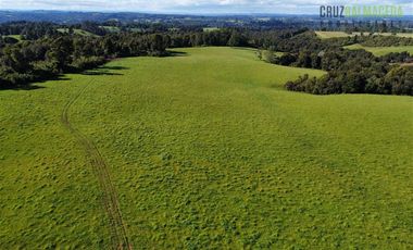 Agrícola en Venta en 169 hectáreas, camino San Carlos km 3, a solo 10 min de Los Muermos