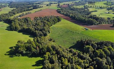 Agrícola en Venta en 169 hectáreas, camino San Carlos km 3, a solo 10 min de Los Muermos