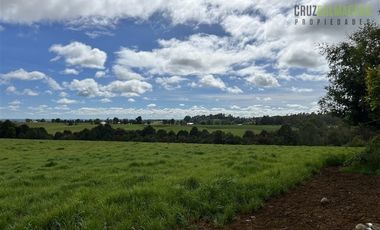Agrícola en Venta en 169 hectáreas, camino San Carlos km 3, a solo 10 min de Los Muermos