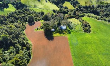 Agrícola en Venta en 169 hectáreas, camino San Carlos km 3, a solo 10 min de Los Muermos