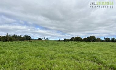 Agrícola en Venta en 169 hectáreas, camino San Carlos km 3, a solo 10 min de Los Muermos
