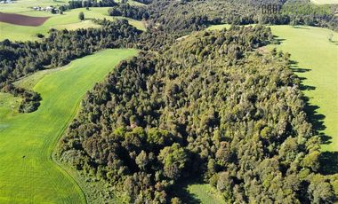 Agrícola en Venta en 169 hectáreas, camino San Carlos km 3, a solo 10 min de Los Muermos