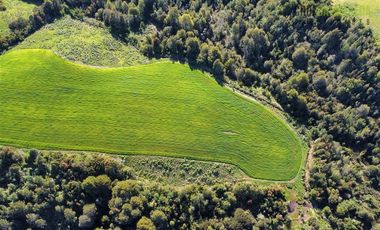 Agrícola en Venta en 169 hectáreas, camino San Carlos km 3, a solo 10 min de Los Muermos
