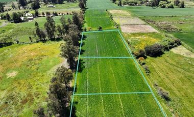 Sitio en Venta en Las Toscas en Linares