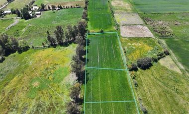 Sitio en Venta en Las Toscas en Linares