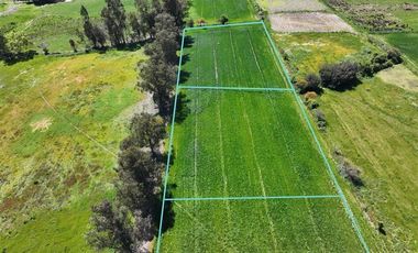 Sitio en Venta en Las Toscas en Linares