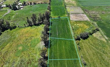 Sitio en Venta en Las Toscas en Linares