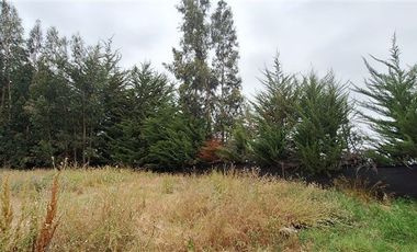 Parcela en Venta en CAMINO VILLA ALEGRE LOS MOLINOS /STA ROSA MELIPILLA