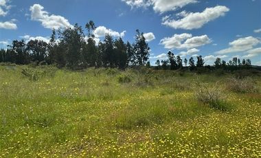 Parcela en Venta en San Nicolas