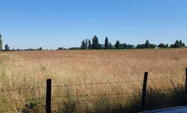 Sitio en Venta en Gran Oportunidad Se Vende Campo Agrícola 18 hec en el Sector el Retiro Talca