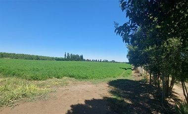 Sitio en Venta en Gran Oportunidad Se Vende Campo Agrícola 18 hec en el Sector el Retiro Talca