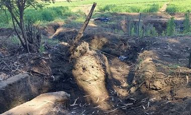 Parcela en Venta en Gran Oportunidad Se Vende Campo Agrícola 18 hec en el Sector el Retiro Talca