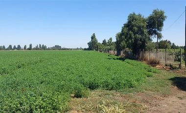 Parcela en Venta en Gran Oportunidad Se Vende Campo Agrícola 18 hec en el Sector el Retiro Talca
