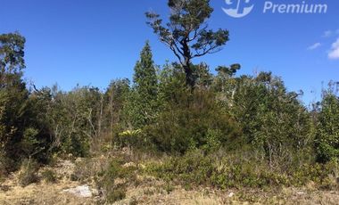 Parcela en Venta en Molulco y natri